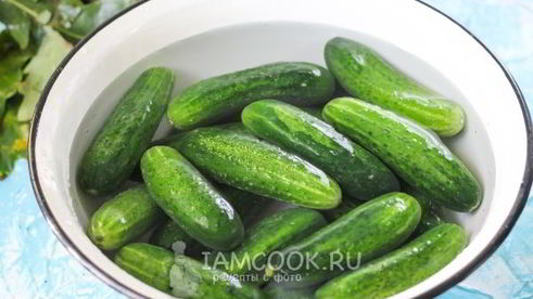квашеные огурцы без стерилизации на зиму