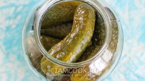 квашеные огурцы без стерилизации на зиму