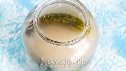 квашеные огурцы без стерилизации на зиму