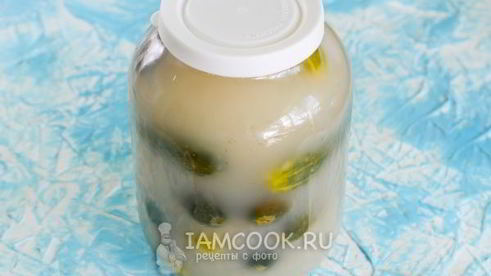 квашеные огурцы без стерилизации на зиму