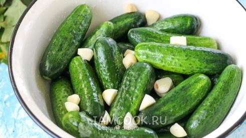 квашеные огурцы без стерилизации на зиму