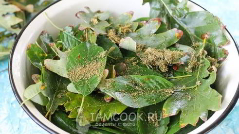 квашеные огурцы без стерилизации на зиму