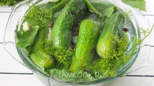 быстрые маринованные огурцы