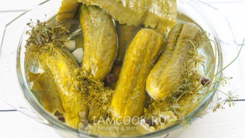 быстрые маринованные огурцы