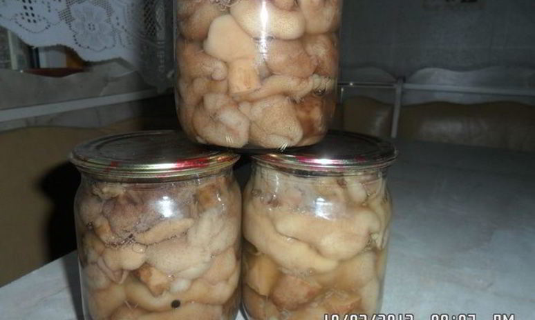 Рецепт грибочков маринованных