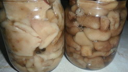 грибочки маринованные