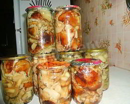 Грибы песчаники маринованные