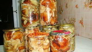 Грибы песчаники маринованные