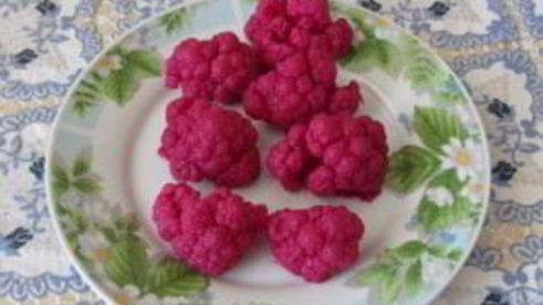 маринованная цветная капуста по-армянски