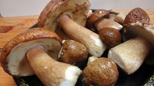 Маринованные белые грибы с чесноком