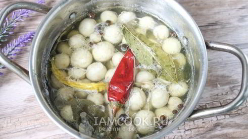 маринованные белые шампиньоны