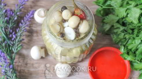 маринованные белые шампиньоны