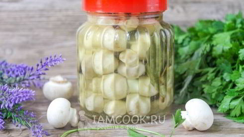 маринованные белые шампиньоны