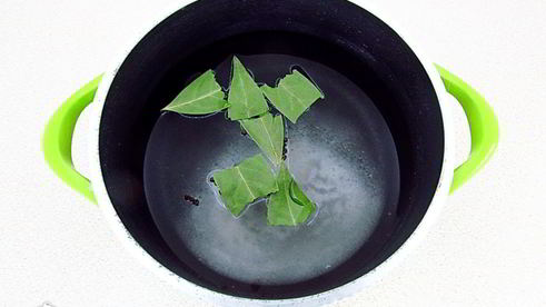 маринованные чесночные стрелки