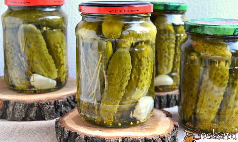 Рецепт маринованных корнишонов