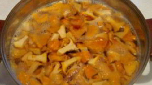 маринованные лисички на зиму