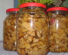 Маринованные лисички с луком