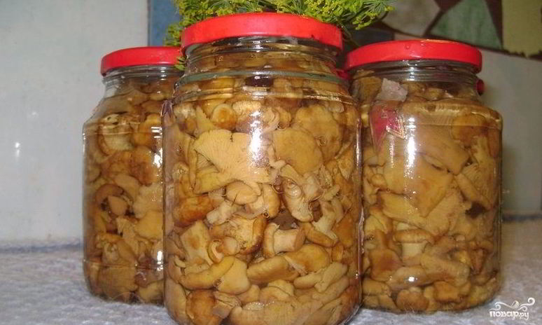 Рецепт маринованных лисичек с луком