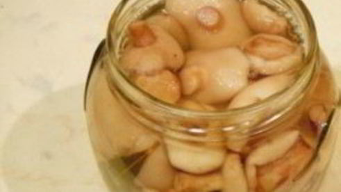 маринованные маслята без закатки