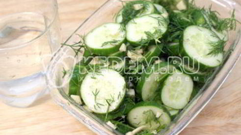 маринованные огурчики быстрые