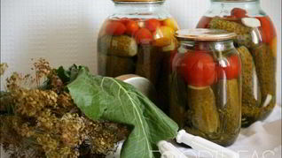 Маринованные огурцы с помидорами