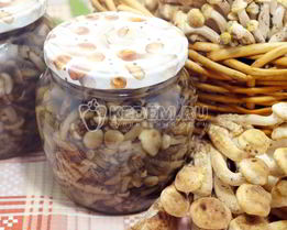 Маринованные опята в банках
