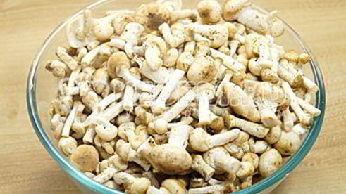 маринованные опята в банках