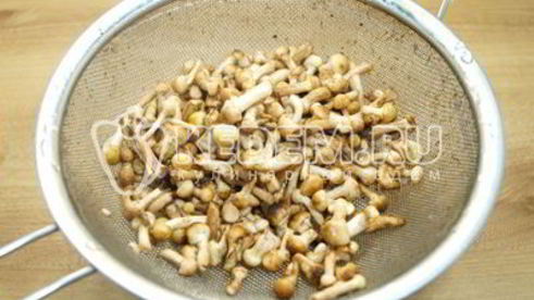 маринованные опята в банках