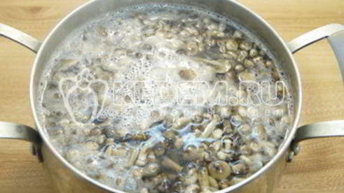 маринованные опята в банках