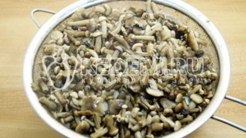 маринованные опята в банках