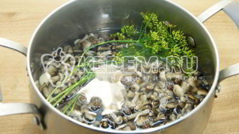 маринованные опята в банках