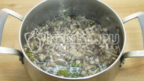 маринованные опята в банках