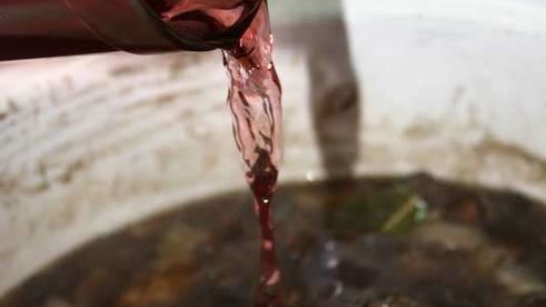 маринованные подосиновики и белые грибы