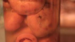 Маринованные рыжики