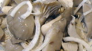 Маринованные вешенки