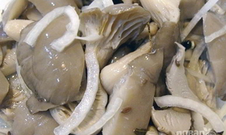 Рецепт маринованных вешенок