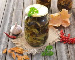 Моховики маринованные