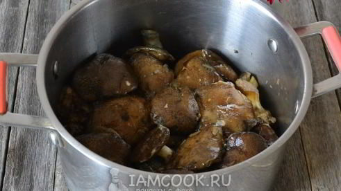 моховики маринованные