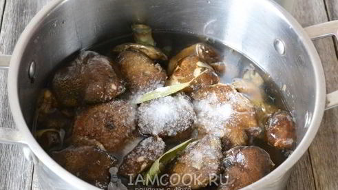 моховики маринованные