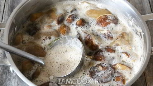 моховики маринованные