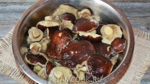 моховики маринованные