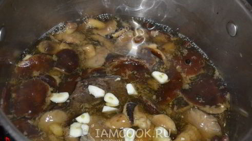 моховики маринованные