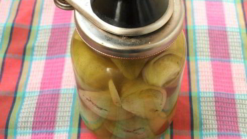 острые зеленые помидоры на зиму