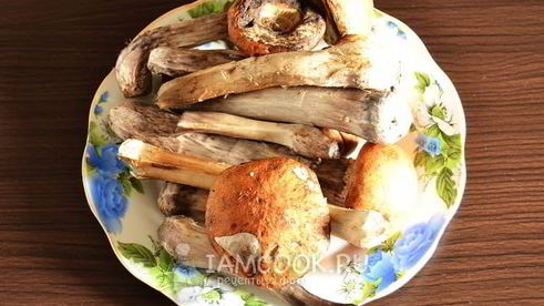 подосиновики, замороженные на зиму