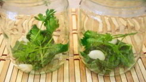 помидоры черри на зиму