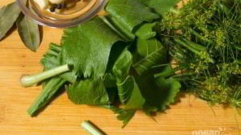 помидоры квашеные на зиму