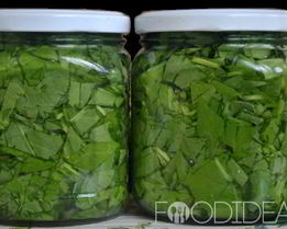 Щавель на зиму