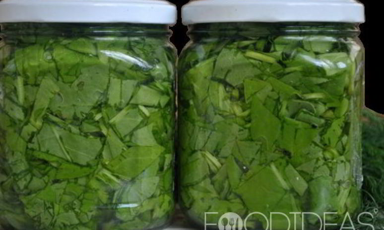 Рецепт щавеля на зиму