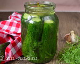 Быстрые малосольные огурцы в банке