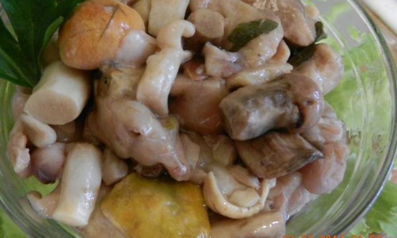 Рецепт грибов соленых домашних